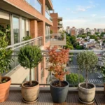 3 najbolja drveta za balkon: rastu lako, ne traže mnogo nege i ne zauzimaju puno mesta