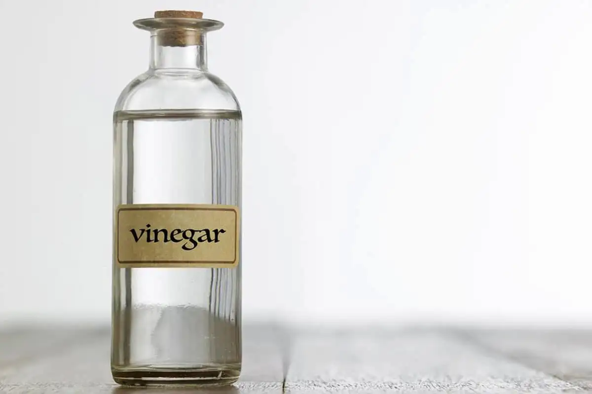 Vinager protiv plaga u kući: prirodno rešenje koje stvarno deluje