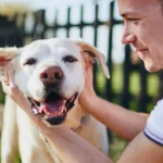 Zašto pas bira jednu osobu kao favorita